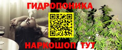 МДМА Можга
